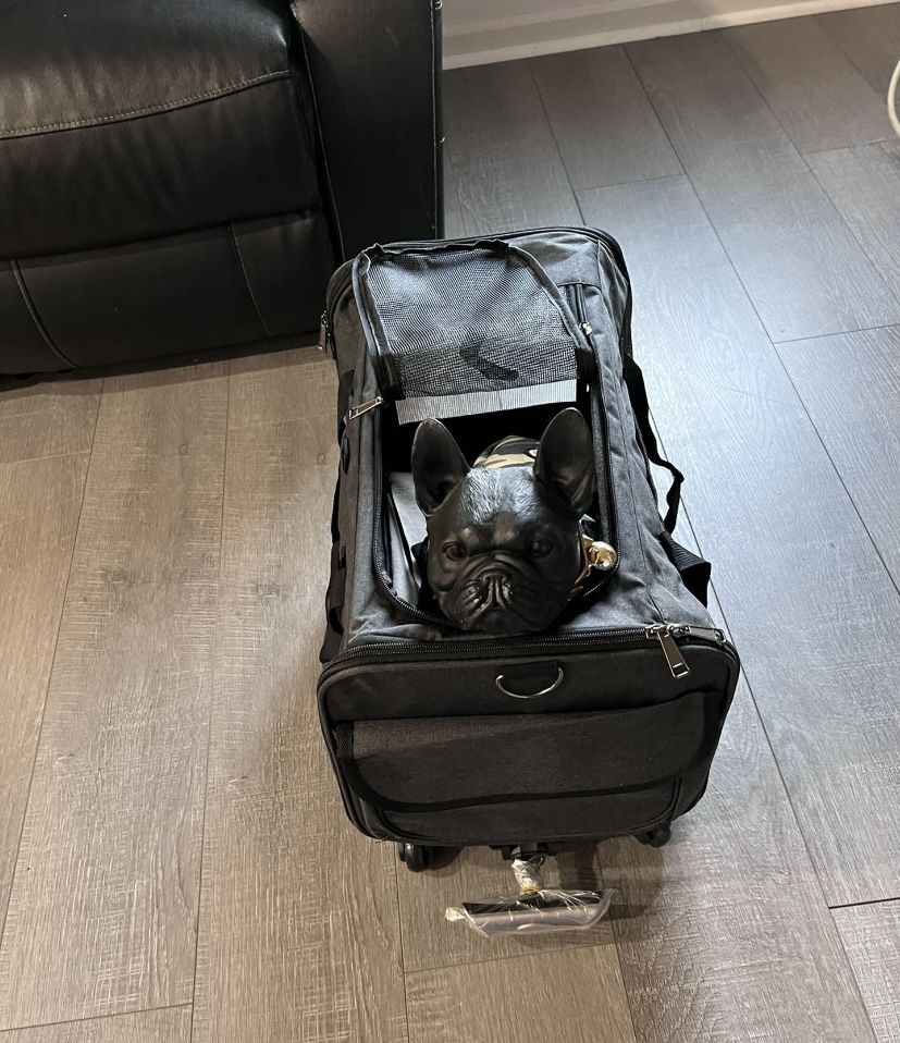 Small Dog Carrier / Pet Stroller
