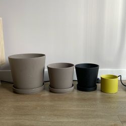 Plant Pots