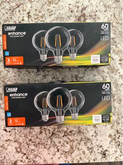 FEIT Electric 60 Watt G25 LED Bulbs
