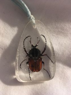 Bug pendant
