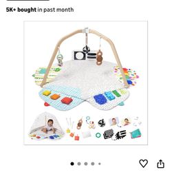 Lovevery The Play Gym