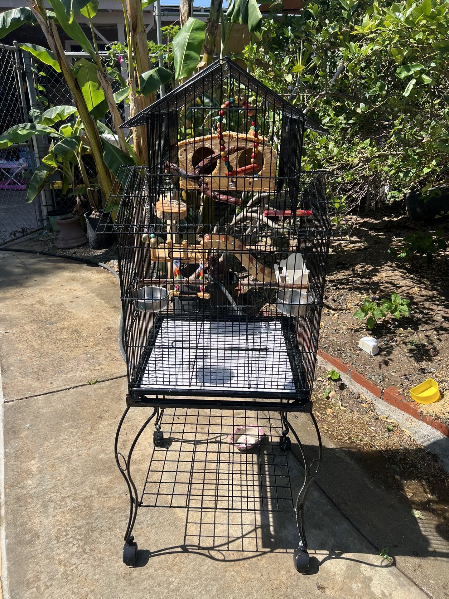 Bird Cage
