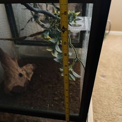 Chameleon/ Reptile Enclosure