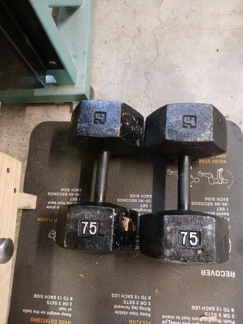 2 X 75lbs Hex Dumbbells 