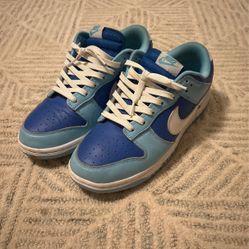 Nike dunk low Retro “Agron