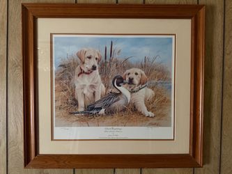 Labrador Retrievers Print
