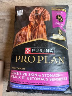 Dog food
