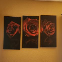 Roses picture