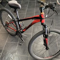Giant 21-spd Mountain Bicycle For Sm-Medium Riders 