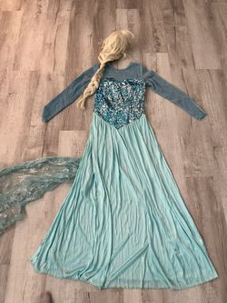 Elsa Costume Large With Wig