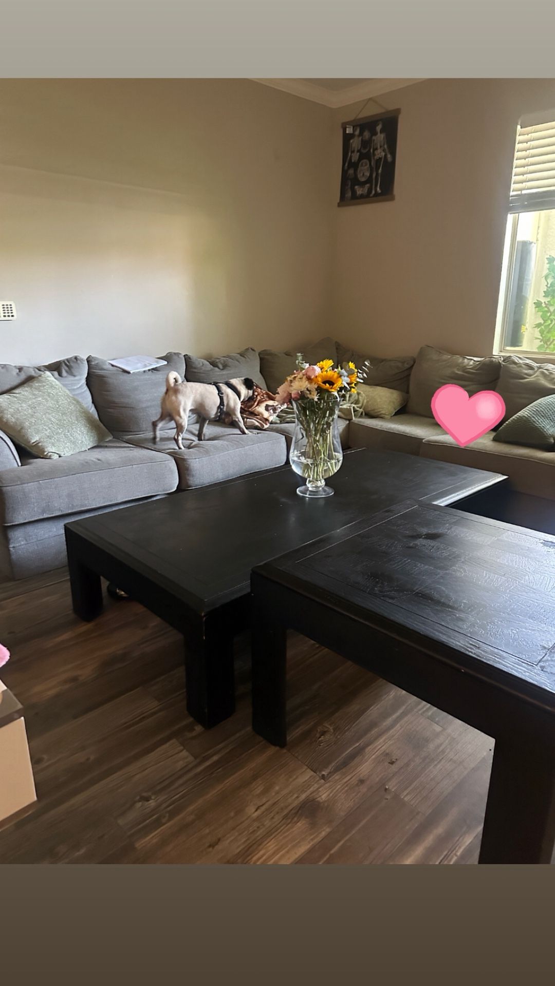 MUST GO BY 6/22! Modern Living Room Table/ Side Table