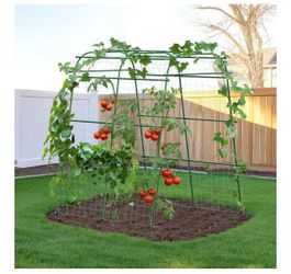 Garden Arch Trellis
