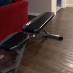 Workout Bench