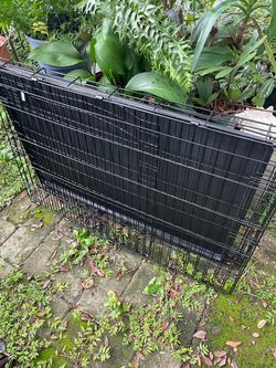 Dog crate