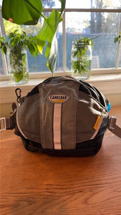 Camelbak flashflo Fanny pack