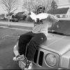 jdot