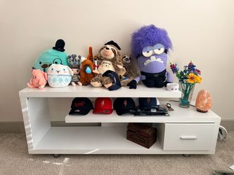 Entertainment Center