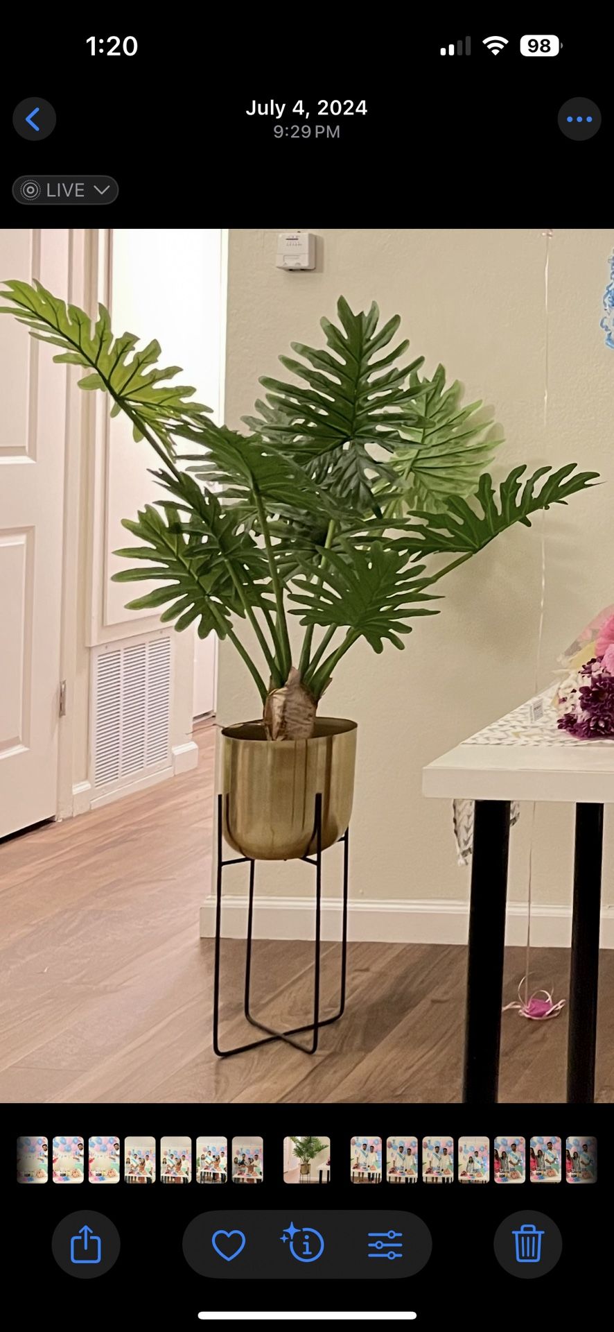Beautiful Fake Plant With Modern Stand