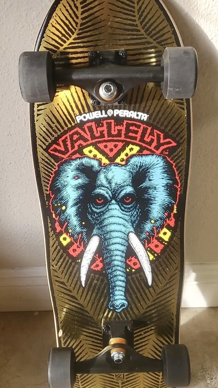 Powell Peralta Mike Vallely