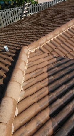 Roof Cleaning
