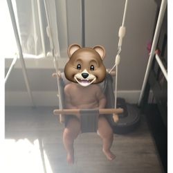 Indoor/outdoor Swing