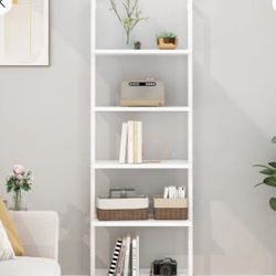 Ladder Bookcase