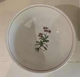 Leopoldo Piezi Stoviglierie Italy 11 1/2” Pasta Salad Bowl Botanical Pink
