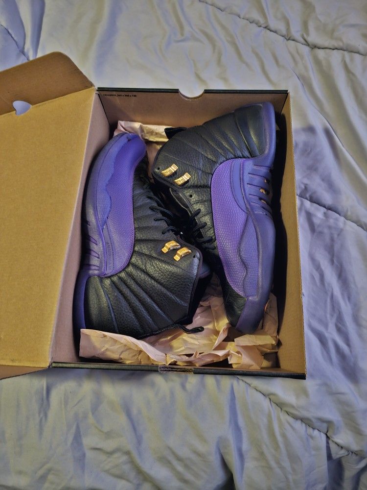 Air Jordan 12 Retro Court Purple