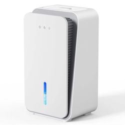 Dehumidifier for Home, 1000 sq.ft