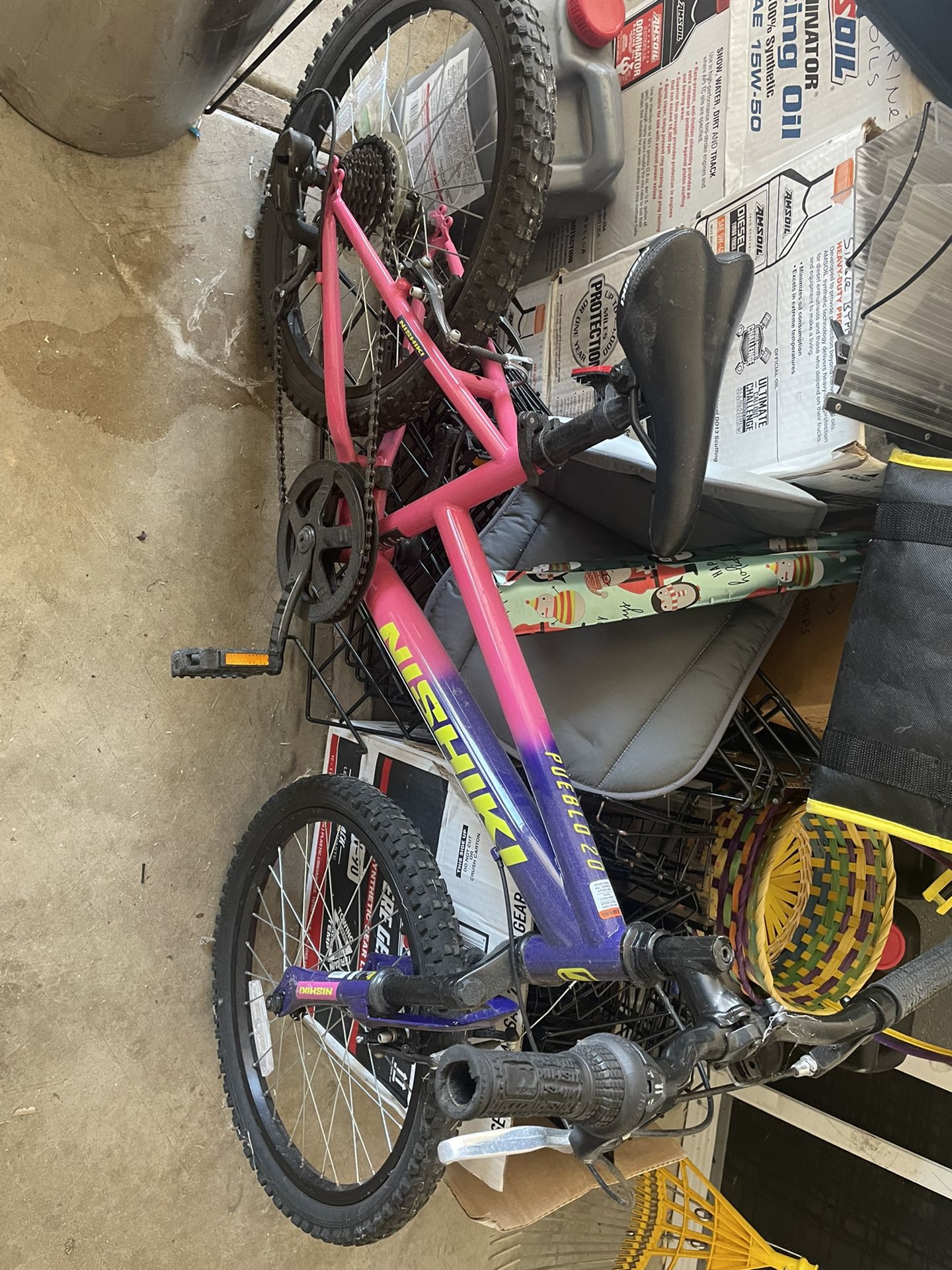 Nishiki Pueblo 20” Girls Bike