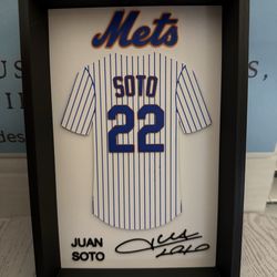 Baseball-J Soto Inspired Jersey Display 3D Printed (PLA) Wall or Desktop Decor