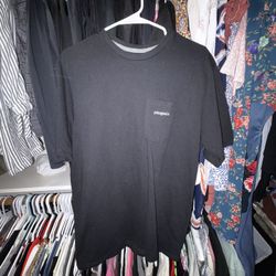 Patagonia Men’s TShirt