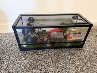 20 gallon Glass Reptile Terrarium with Accessories