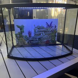 Fish Aquarium 