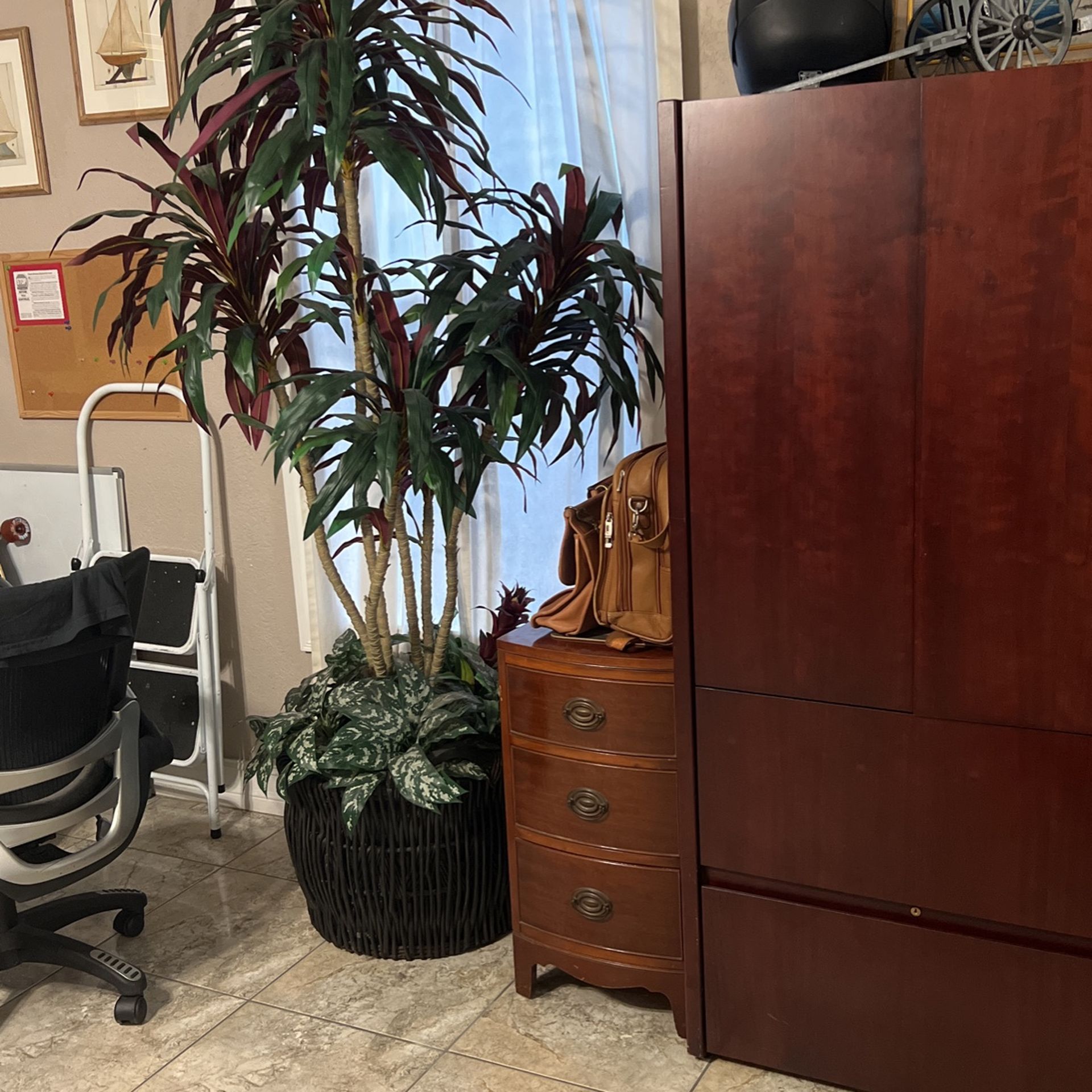 Silk Plant for Sale in Fort Lauderdale, FL OfferUp