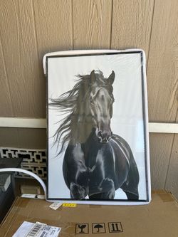 Horse canvas