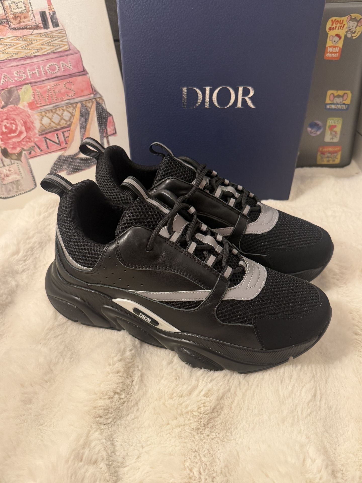 Dior B22