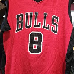 Mens NBA Chicago Bulls Zach Lavine Jersey. Officially Licensed, Size L