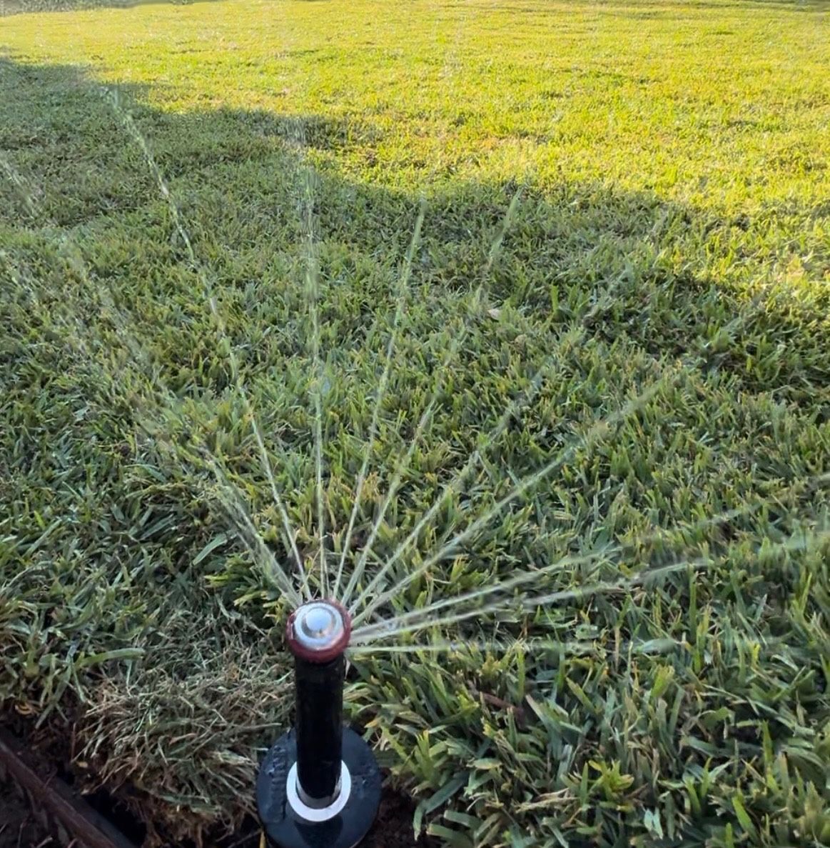 Brand New Rain Bird Sprinklers