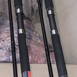 Daiwa Firewolf (Heavy) Fishing Rod -9'6 for Sale in Cumming, GA - OfferUp