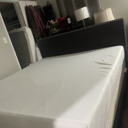 Kin Bed Size