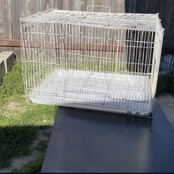 Cage For Birds