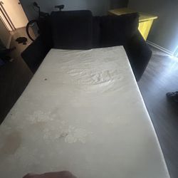 Fold Out Couch 