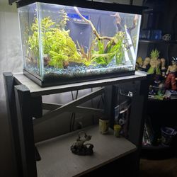10 Gallon Fish Tank W/ Stand