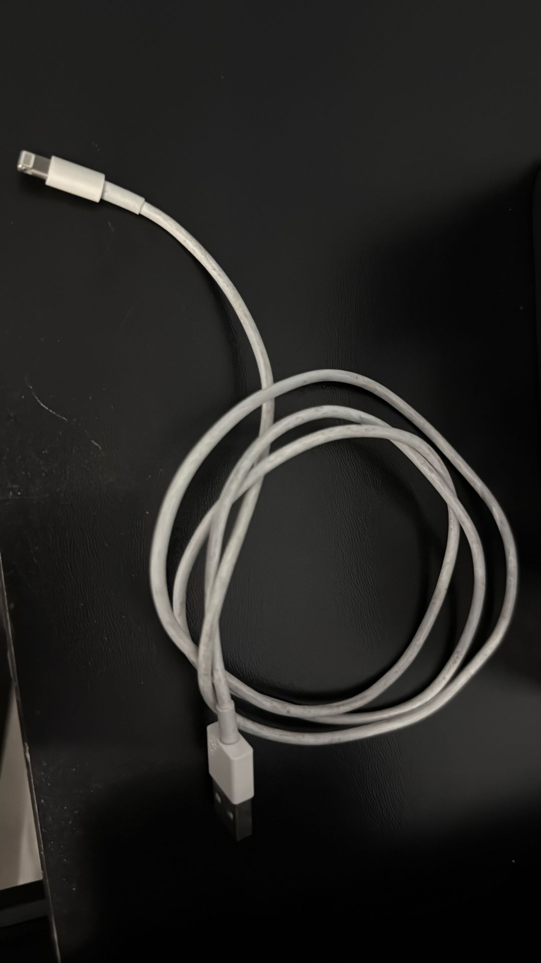 Apple USB Charger