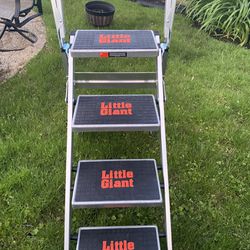 Little Giant Set Ladder