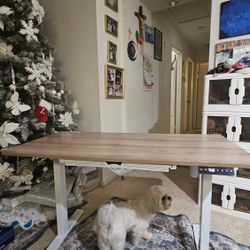 Electric Standing Desk w/ Memory Presets – White Frame, Excellent Condition