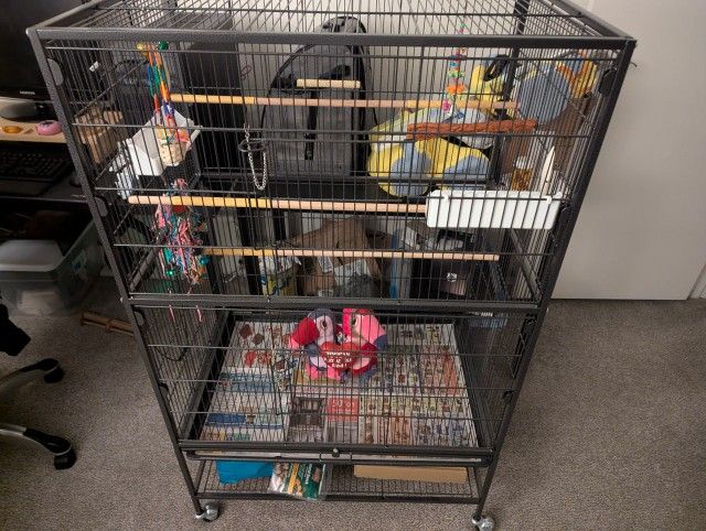 Let Bird Starter Kit!