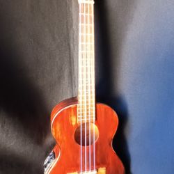 Lanika Ukulele Concer Size