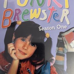 PUNKY BREWSTER The Complete 1st Season (DVD-1984)NEW!